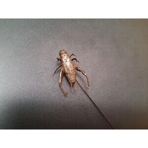 Vintage Cricket Grasshopper Stickpin Sterling?